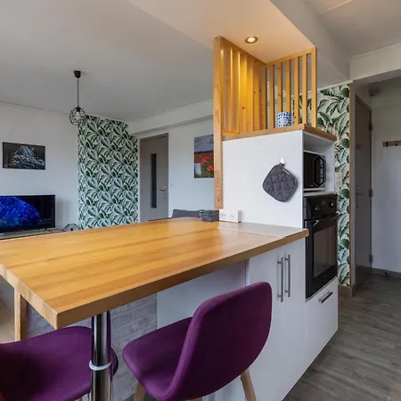 Bleu Rivage F3 Bord De L'allier - Parking Gratuit - 2 Etoiles * Vichy