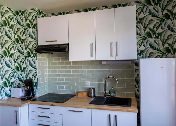 Bleu Rivage F3 Bord De L'allier - Parking Gratuit - 2 Etoiles Vichy