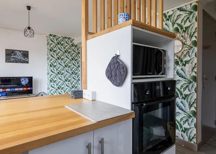 Bleu Rivage F3 Bord De L'allier - Parking Gratuit - 2 Etoiles Apartmán *