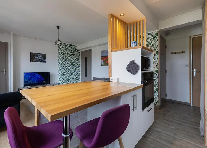 Bleu Rivage F3 Bord De L'allier - Parking Gratuit - 2 Etoiles * Vichy